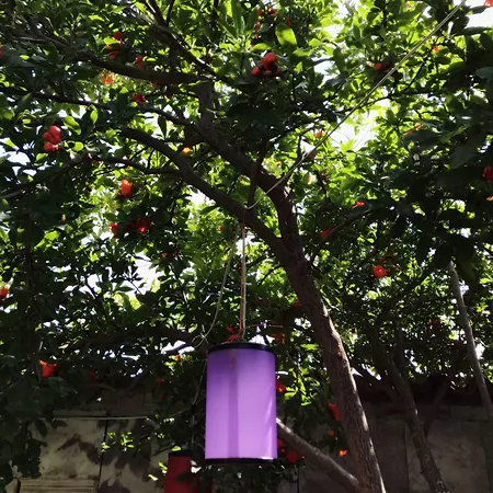 Cunda Sim Butik Hotel